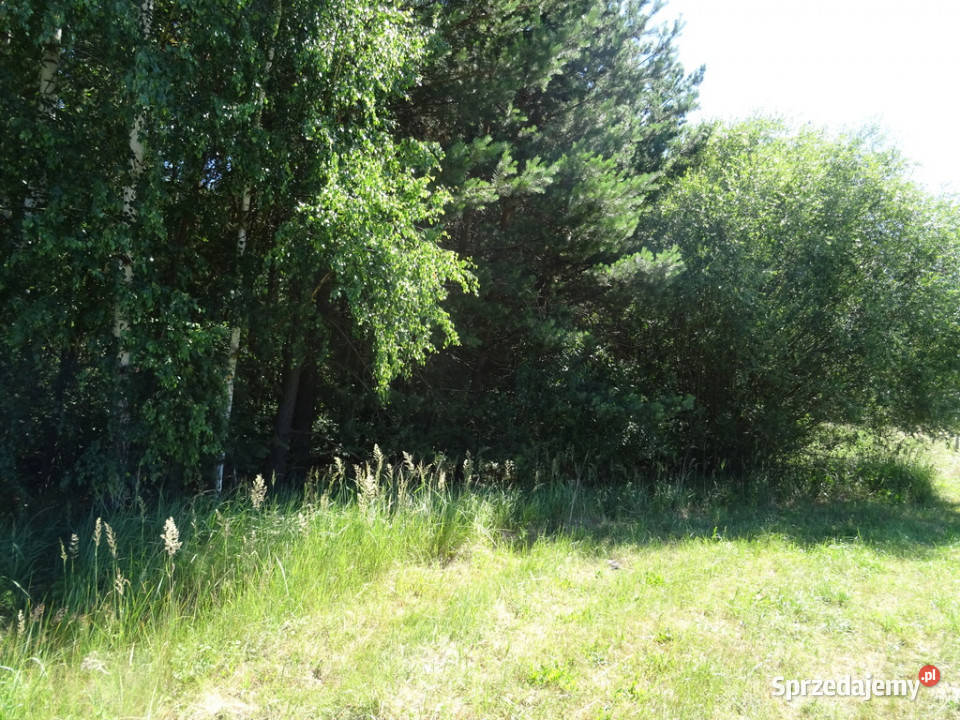 DZIAŁKA ZALEWU SULEJOWSKIEGO budowlana Sprzedaż łódzkie Adamów