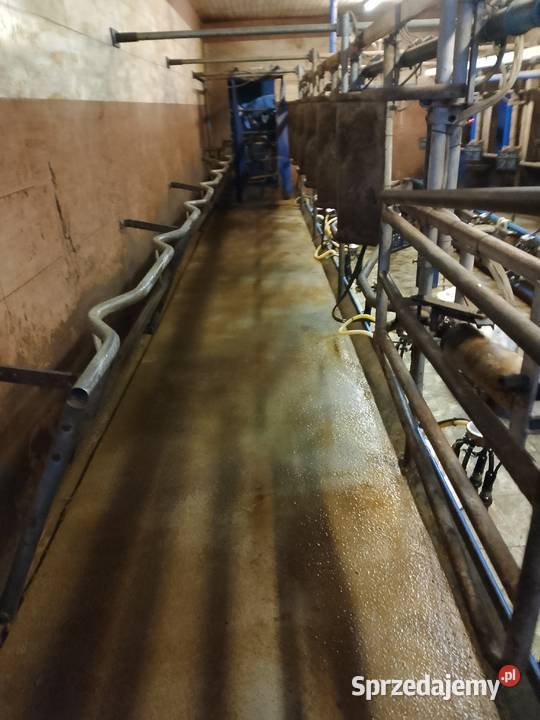 Hala udojowa de laval rybia ość 2x7 stacja Pozostałe Kościerzyna sprzedam