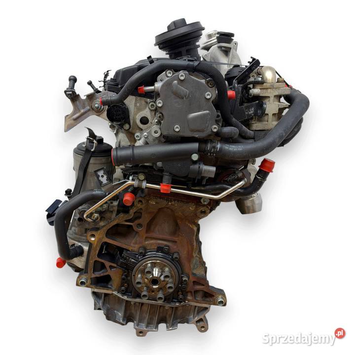 SILNIK BKC Audi A3 II 8P Skoda Octavia VW Golf V osobowe lubelskie Chełm