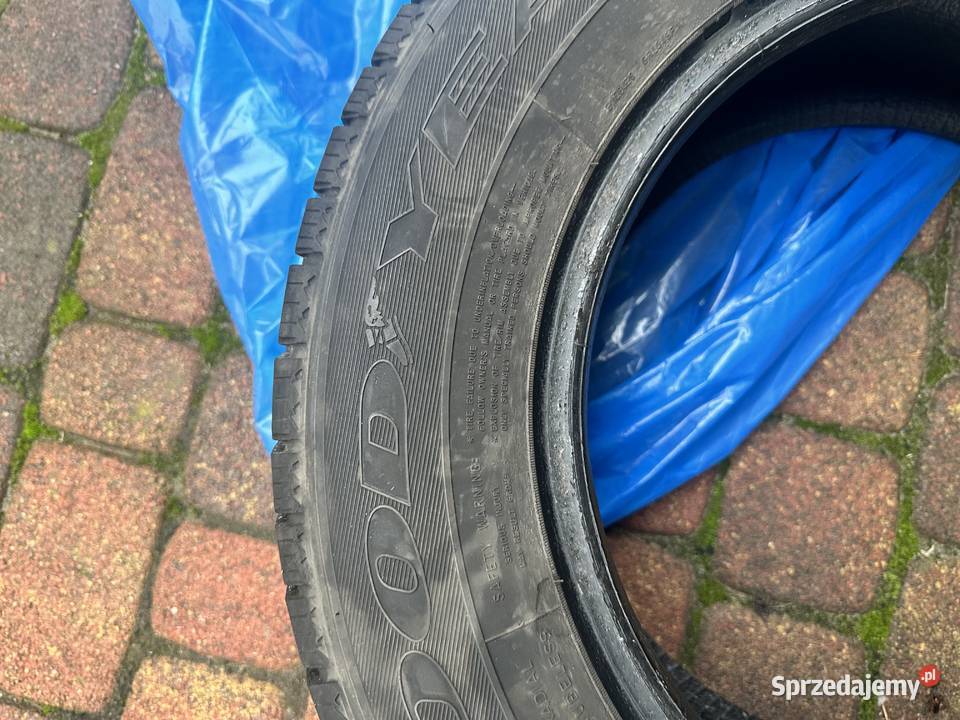 Good Year Cargo UltraGrip 21565 R15C 104102T zima