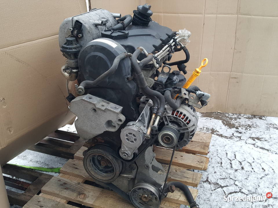 Silnik Vw Caddy III 20 SDI 312 kompletny 08r Gniewkowo
