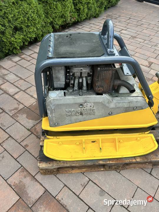 Zagęszczarka Wacker Neuson DPU 5545 z 2022 roku Krosno