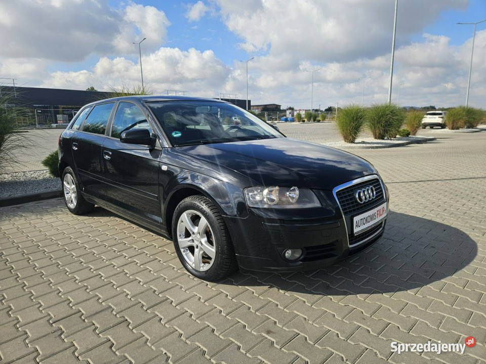 Audi A3 20 140 Klimatronik Elektryka Zadbany 8P Strzegom