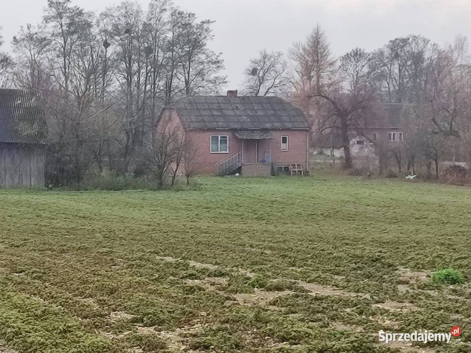 Działka budowlana 25 ar z domem Dziecinin gm Sprzedaż lubelskie