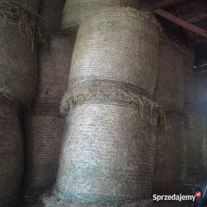 Sprzedam siano Góra Bałdrzychowska