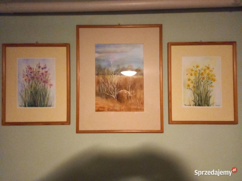 Obrazy akwarele Łomża sprzedam