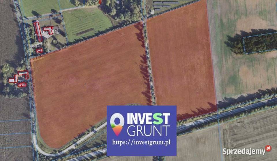 1365 ha Przetarg na dzierżawę gruntów pod farmę Kolankowo