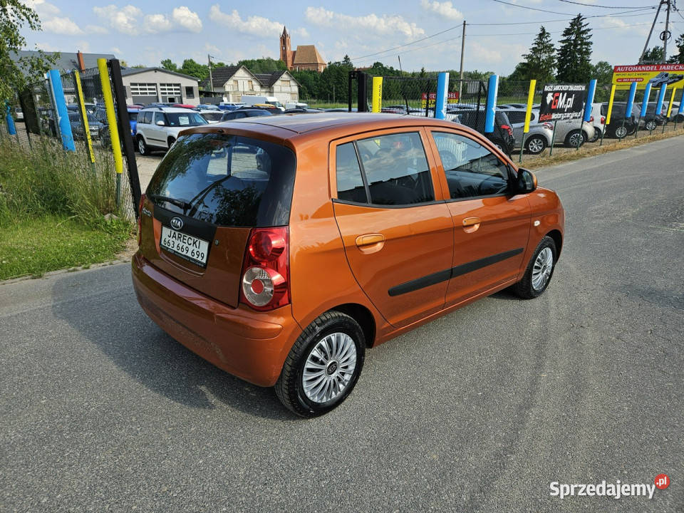 Kia Picanto Opłacona Zdrowa Zadbana Serwisowana Kisielice sprzedam