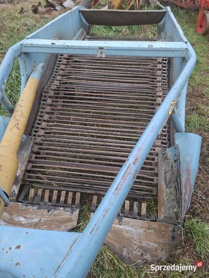 Kopaczka do cebuli świętokrzyskie Busko-Zdrój