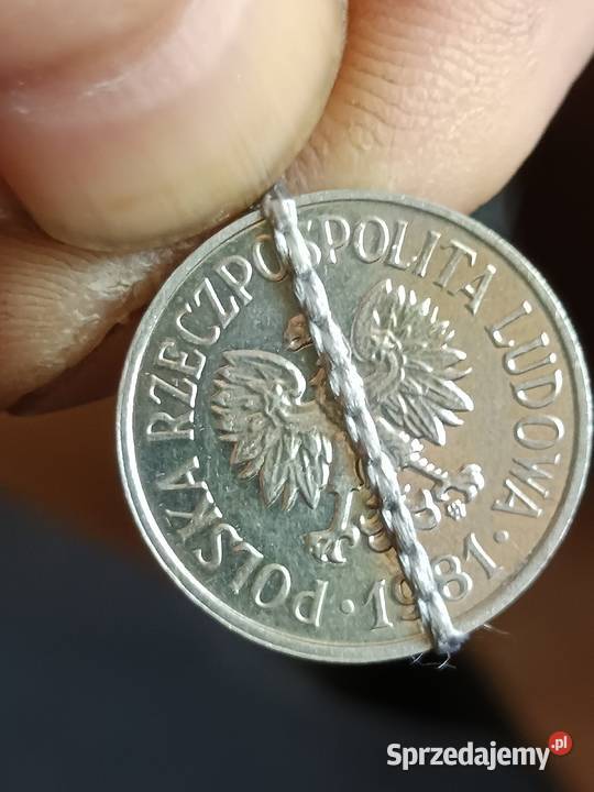 Sprzedam 20 gr 1981 r skrętka Chełm