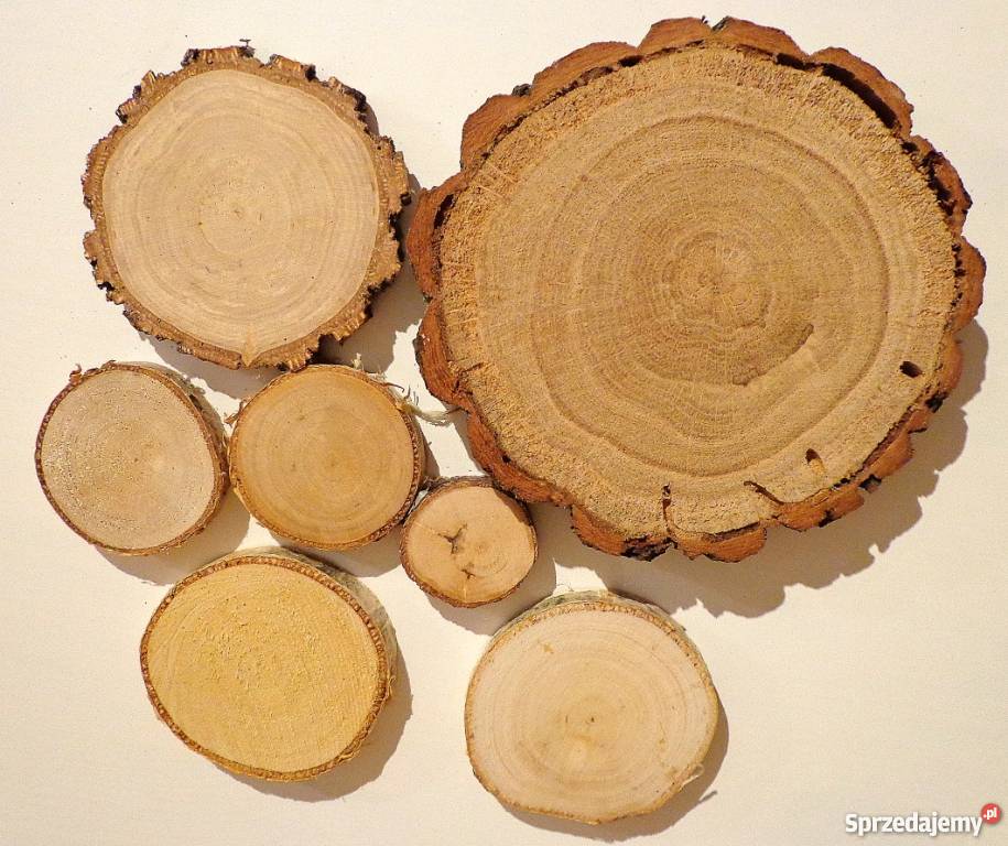 Plastry drewniane szlifowany brzoza 6 10 gr2 Dekoracje i ozdoby Rybnik