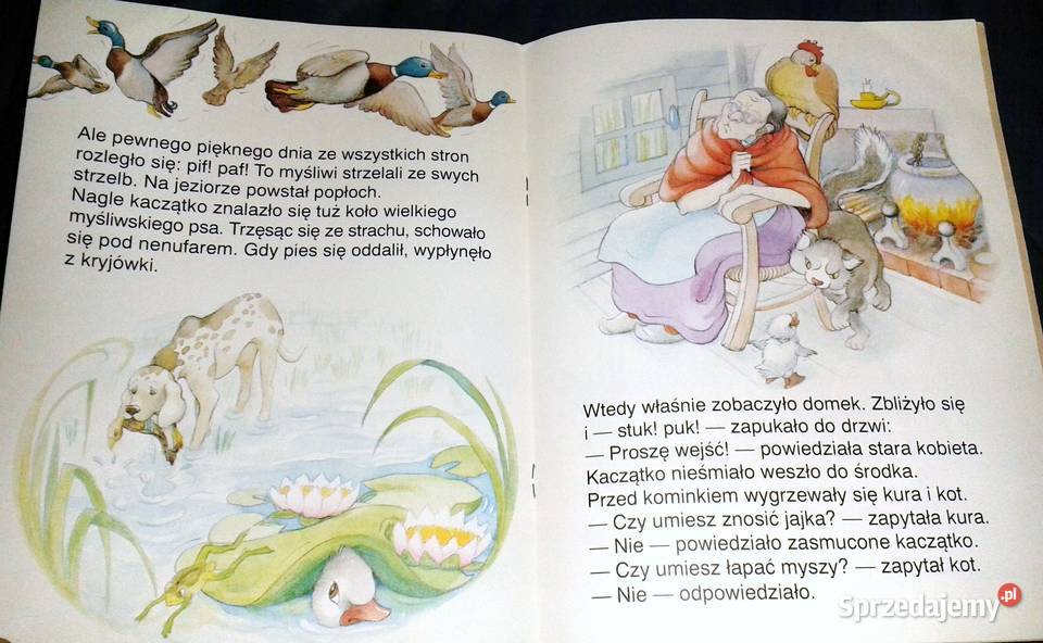 Brzydkie kaczatko Bajki na dobranoc Agnes miękka Chełm