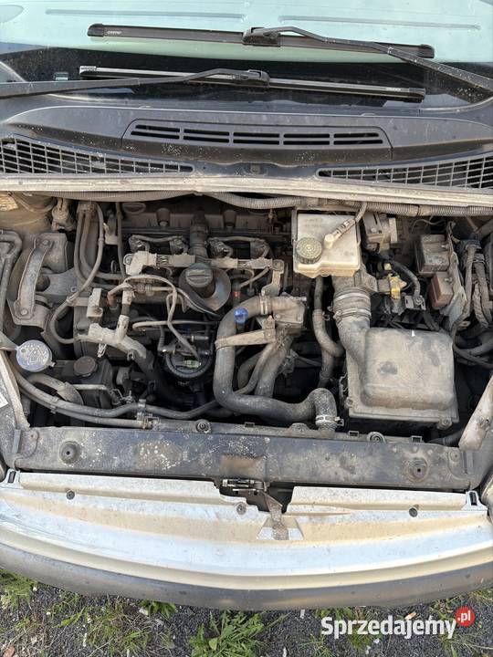 Citroen xsara Picasso Van / Minibus Sulechów
