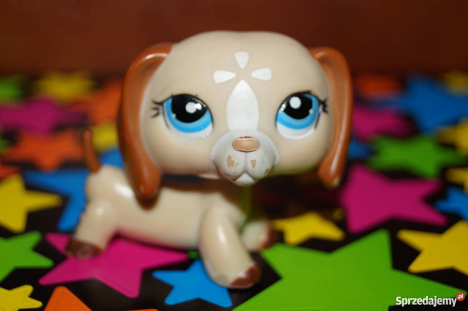 LPS jamnik UNIKAT 1491 Littlest Pet Shop pies Czerwionka-Leszczyny