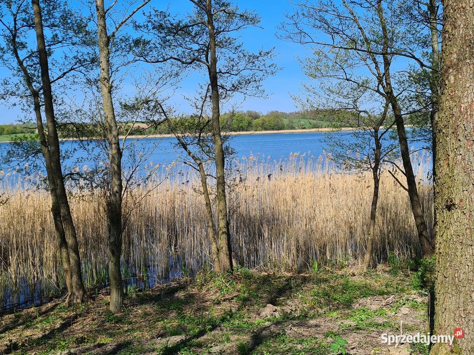 Tania budowlana jeziorem warmińsko-mazurskie Blanki