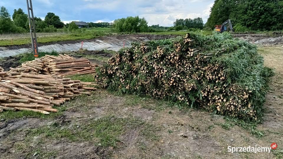 Faszynowanie stawów Pozostałe Grębków