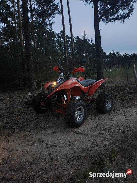 Quada Shineray 250 st9e ATV Gubin