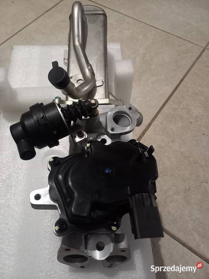 EGR hłodniczka ford 2016r Czeberaki