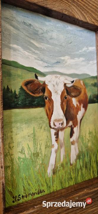 Obraz olejny ręcznie malowany Krówka piękna Męcina