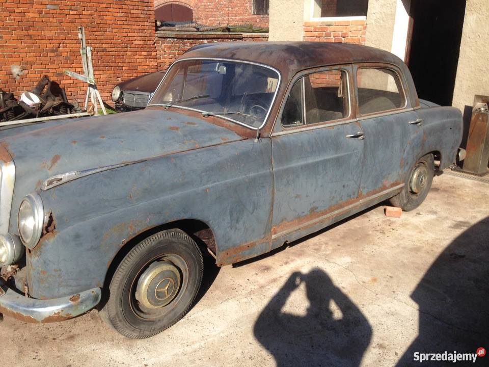 Duży Ponton 219 manualna wielkopolskie Osieczna sprzedam