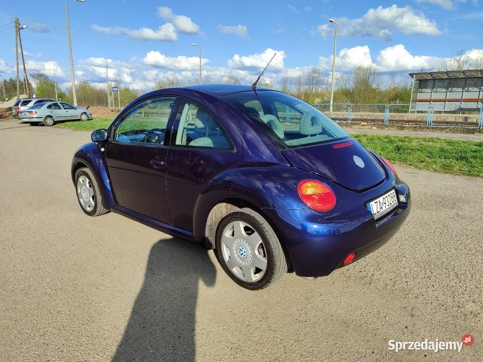 VW Beetle 318500km