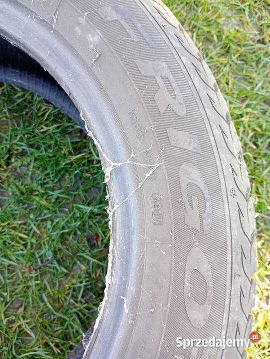 Opona zimowa 2155516 frigo HP 2 Samochodowe Zdziarzec