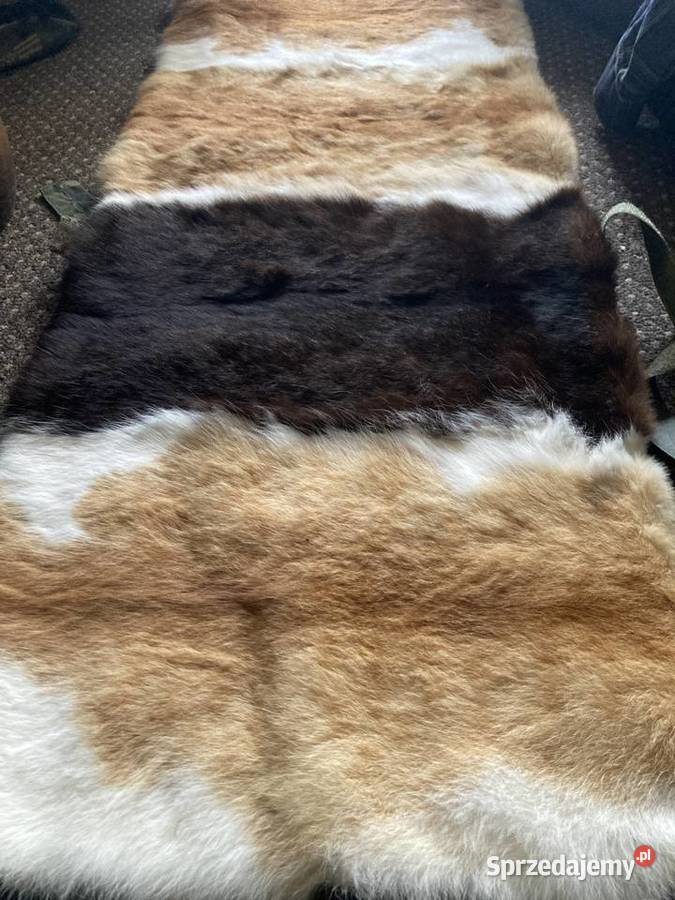 Pas ocieplający z naturalnej skóry i włosia zachodniopomorskie Wolin