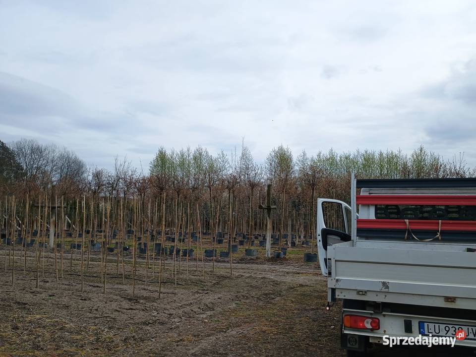 Peugeot Boxer podwójna kabina DOKA fv23 Lublin sprzedam