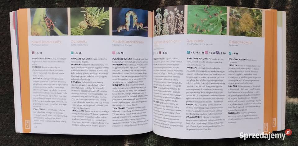 Choroby roślin Thomas Schuster Bełchatów