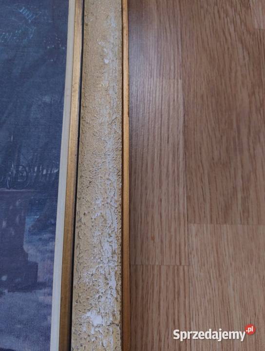 Amazonka Karla Bryullova Malarstwo Antyki, Sztuka, Kolekcje Warszawa