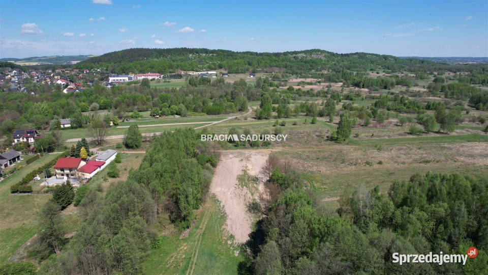 sprzedaży działki 5290m2 Przeginia Narodowa
