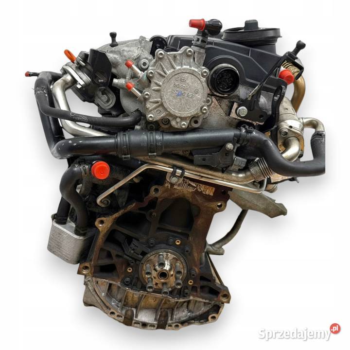 SILNIK BRE Audi A4 B7 A6 C6 20 TDI 140 diesel Chełm