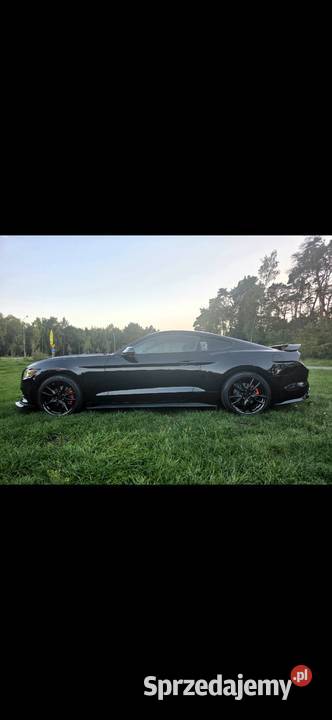 Ford Mustang 37 V6 19 Android Spojler GT Włocławek