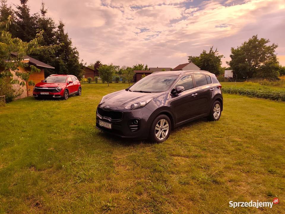 Kia Sportage IV 17 2017 automat 7 biegów bogato