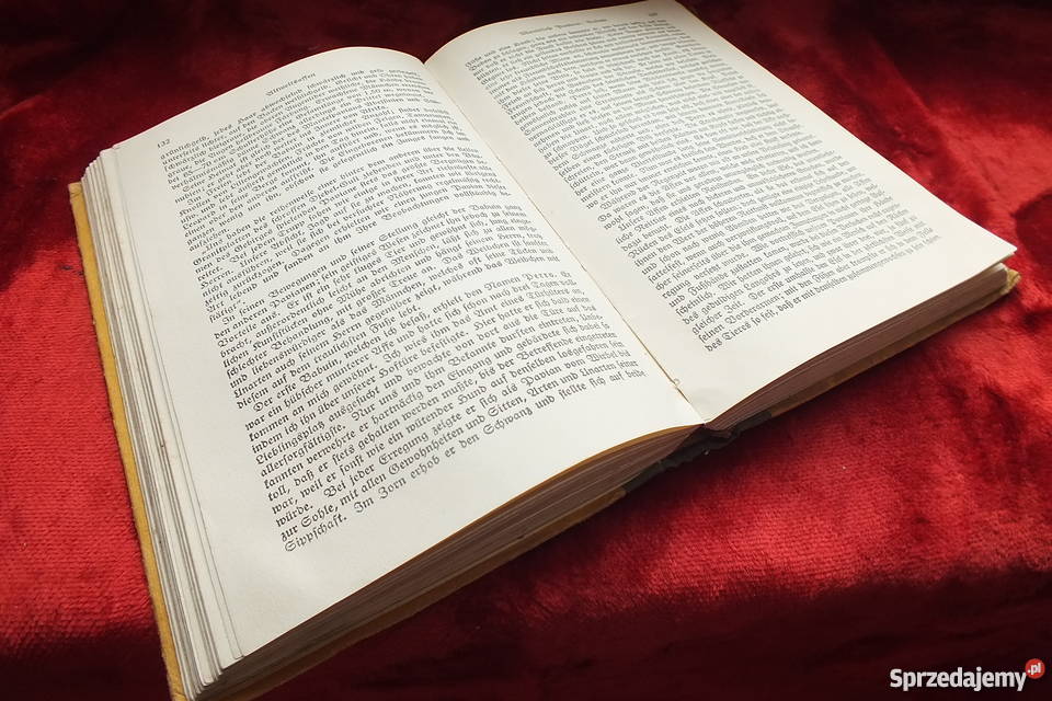 Stara niemiecka książka powieść z 1926 roku lubuskie Żary