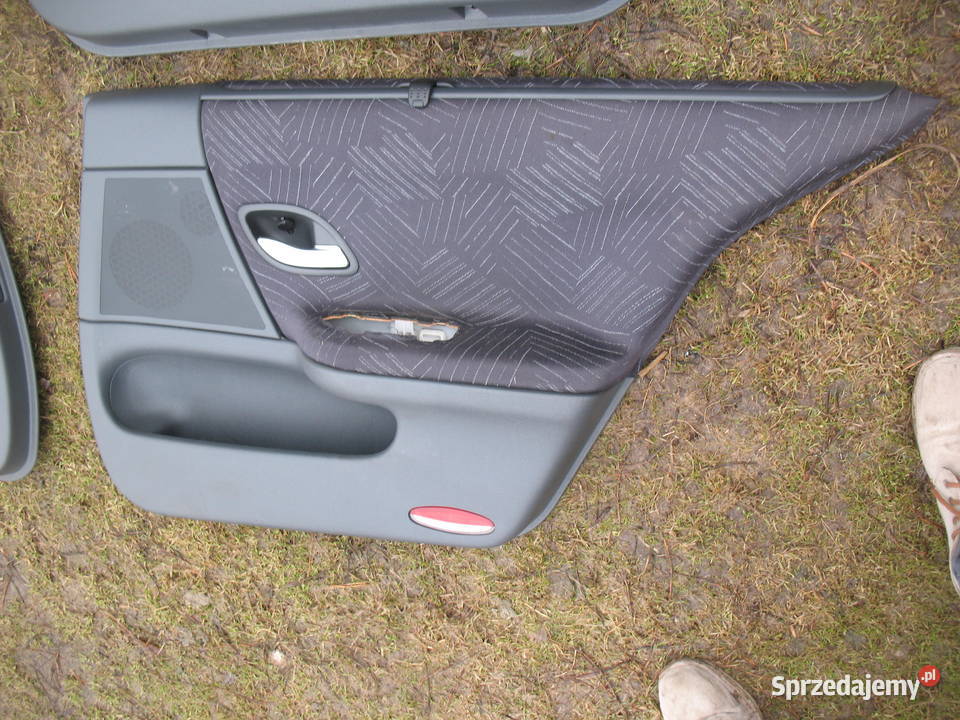 boczki drzwi renault laguna II osobowe
