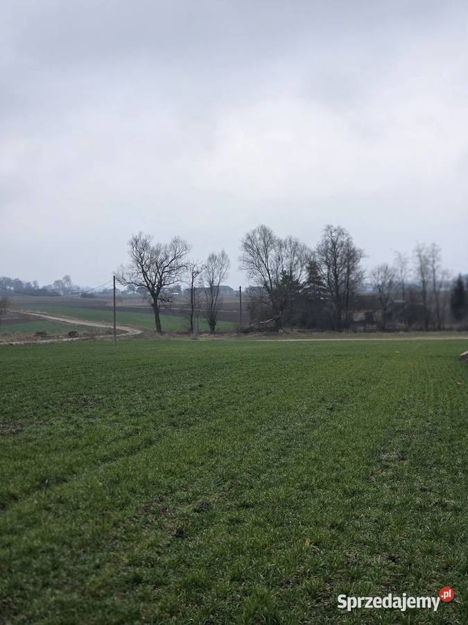 Urocze siedlisko w miejscowości Pieczew gmina
