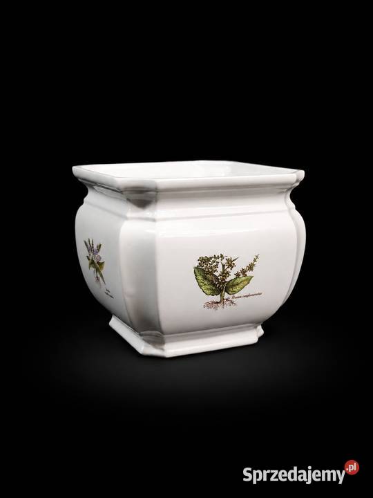 Unikatowa Osłonka Botaniczna Poole Pottery Seria Poddębice