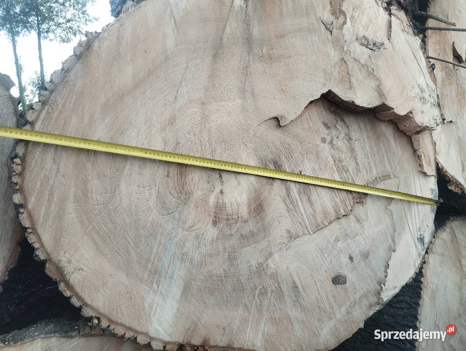 Sprzedam plastry z drewna jesionowego 12cm Dom i Ogród Łękawica