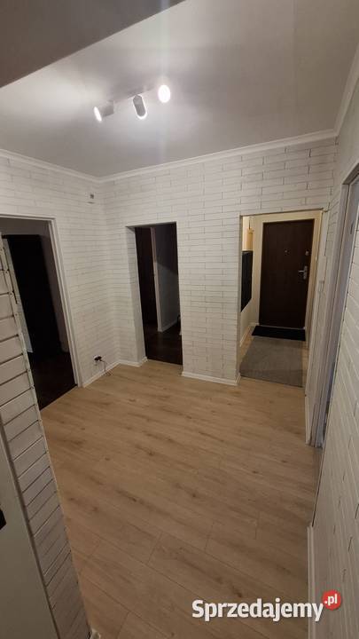 3 pokoje Gdańsk Chełmzwierzęta mile widziane balkon