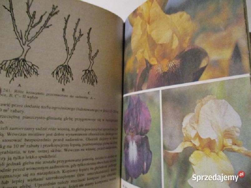 Na działce i w ogródkuEncyklopedia rolnicza dom i ogród łódzkie Łódź sprzedam