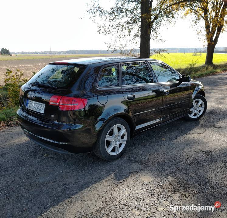 Audi A3 8P 2010 Manual 16 TDI Ozorków