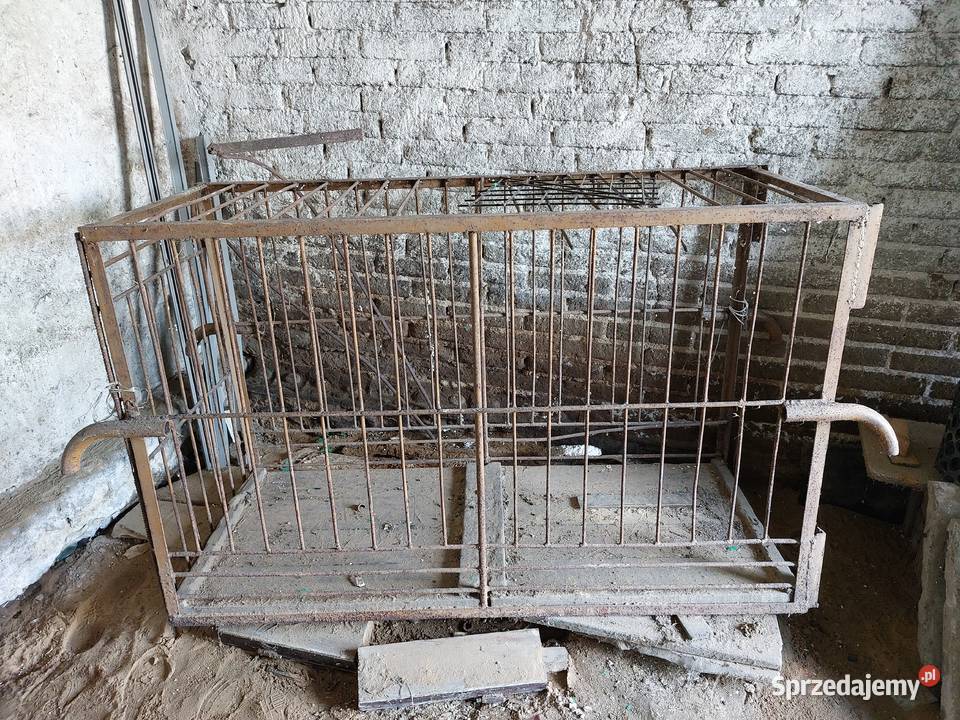 Klatka do przewozu świń Młodzieszyn
