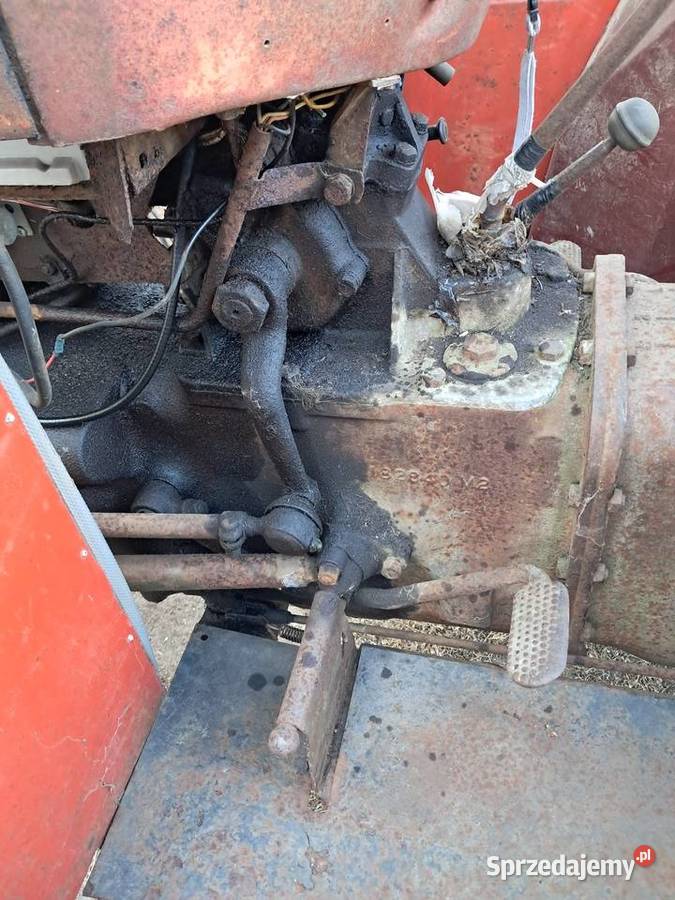 Massey ferguson 35 MF35 tea20 Massey Ferguson Grębocin