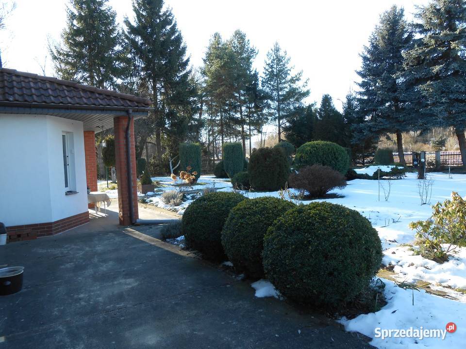 Kamienna Góra dom z ogrodem garażdziałka Domy
