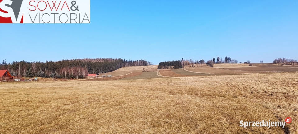 Słoneczna działka budowlana w Borównie Borówno