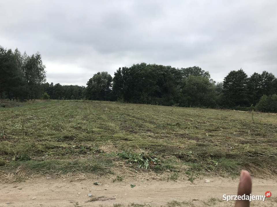 Działka 2000 m rekreacyjna z MPZP możliwość Jędrzejewo