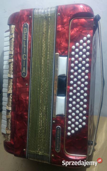 Akordeon DELICIA lubuskie Nowa Sól