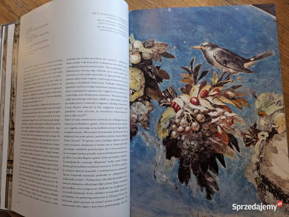 Rafael w Watykanie Nicole Dacos Kraków