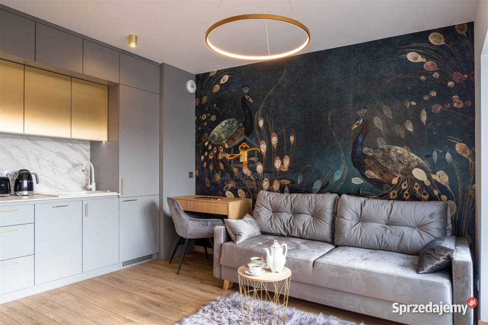 Mieszkanie 3441m2 1pok Kraków 24963zł/m2